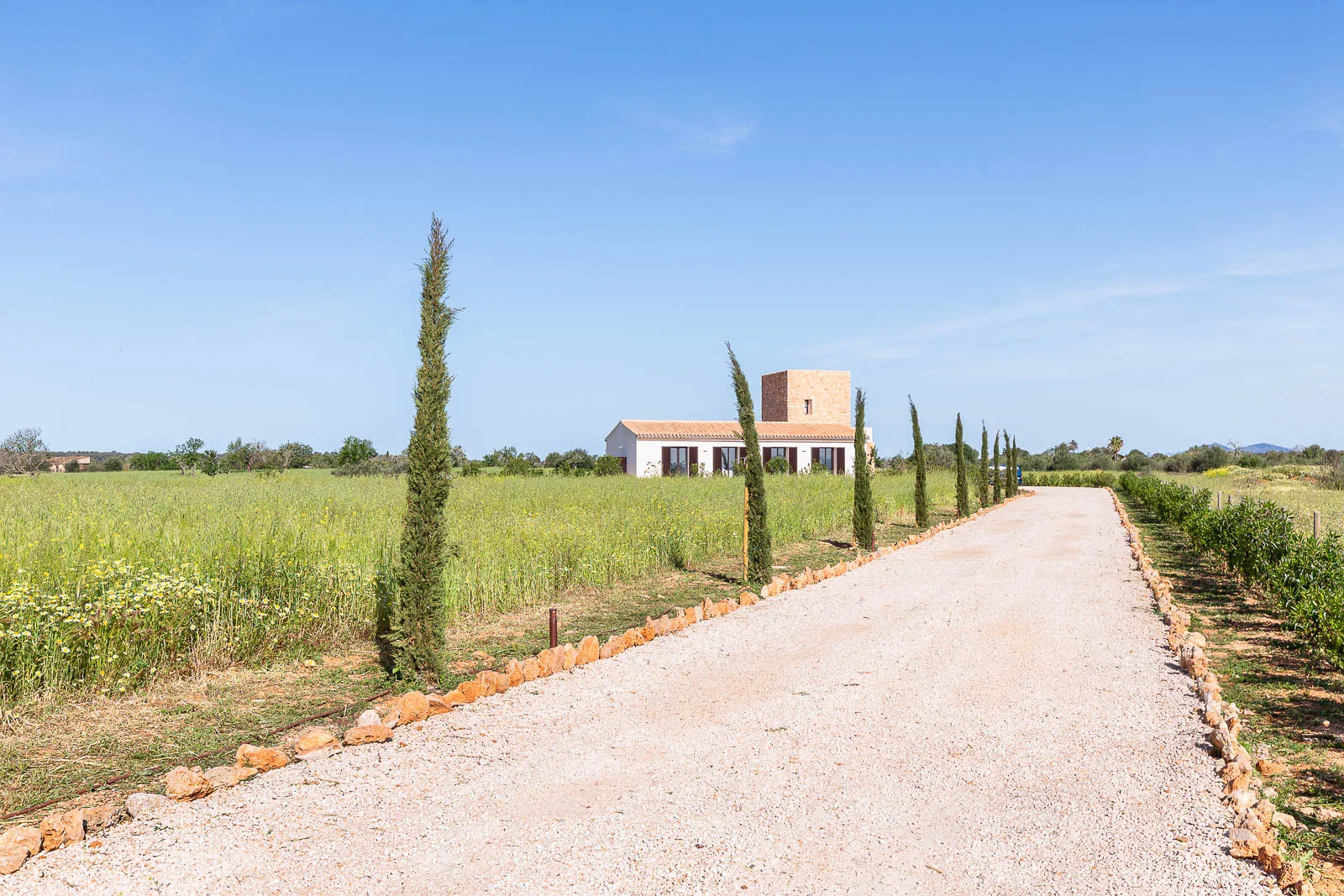 Finca Feliç 30